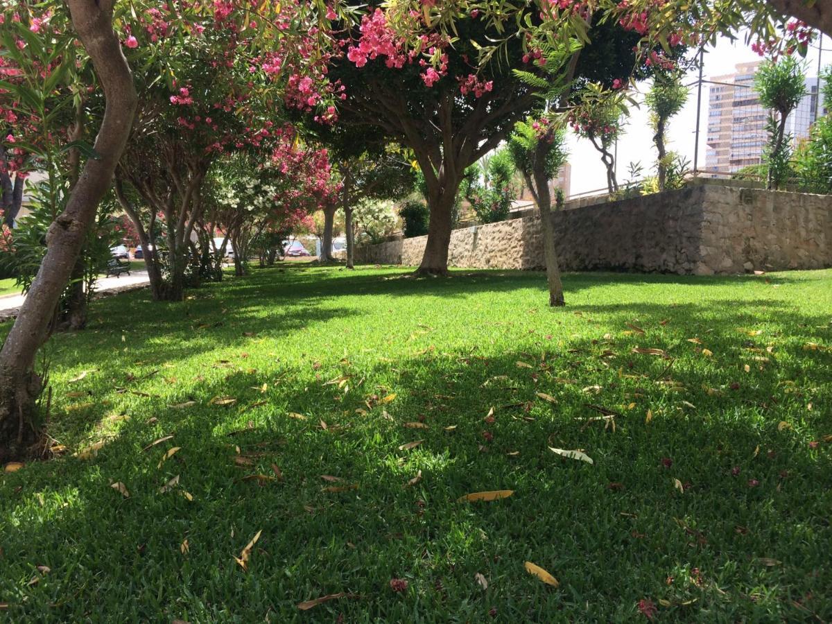 Club Del Mar L25 Διαμέρισμα Αλικάντε Εξωτερικό φωτογραφία